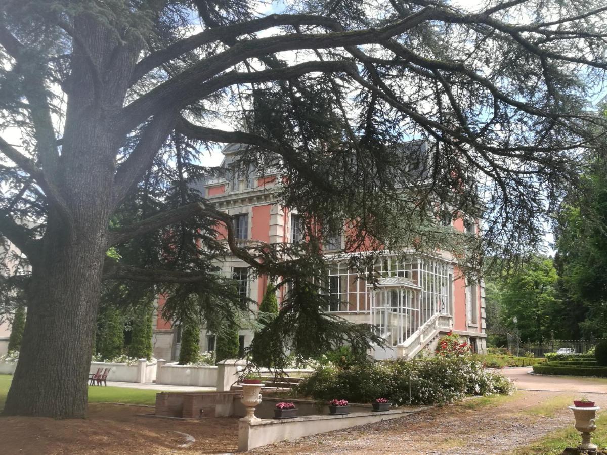 Bed and Breakfast Chateau Sallandrouze Обюсон Екстер'єр фото